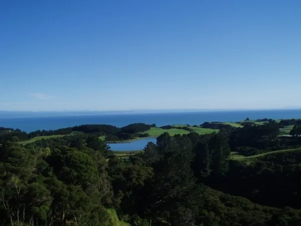 A view across the Cape Kidnappers property and golf course.